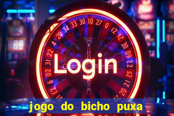 jogo do bicho puxa de dona maria